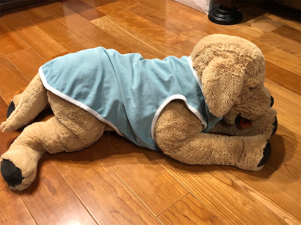 f:id:YORIKO:20240302225102j:image