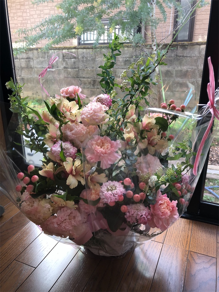 f:id:YORIKO:20240310200249j:image