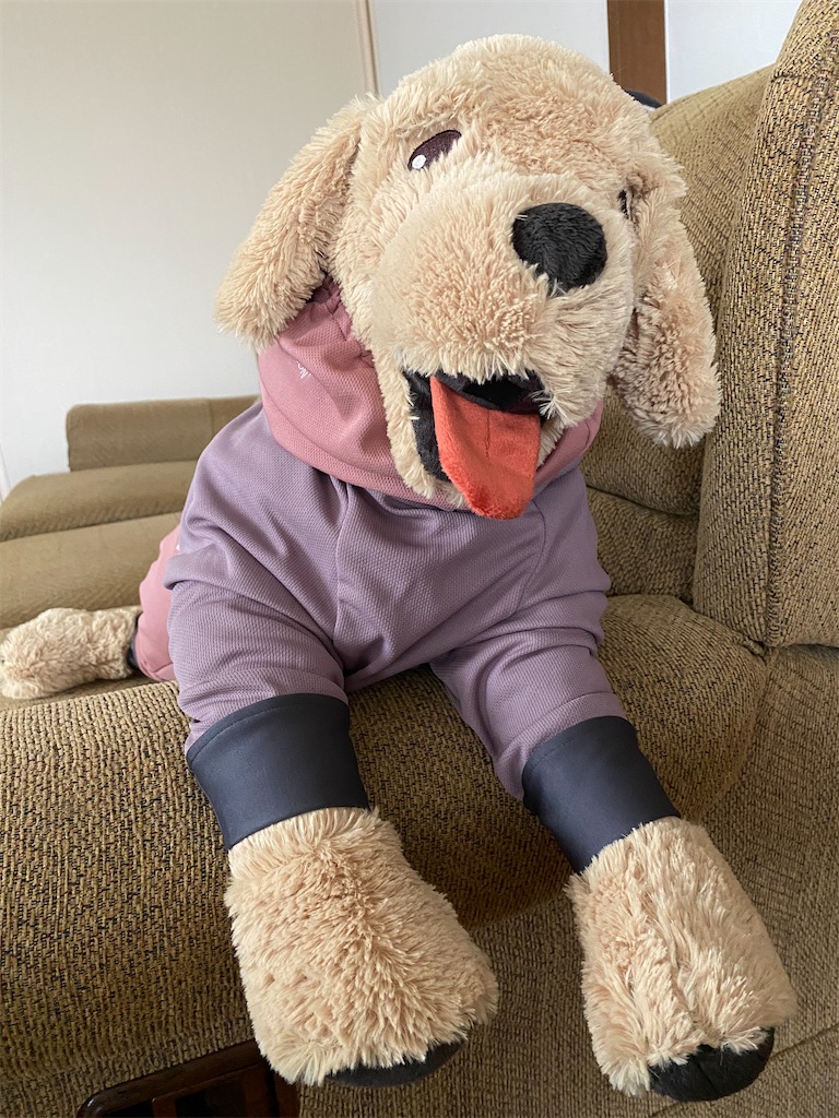 f:id:YORIKO:20240313124407j:image