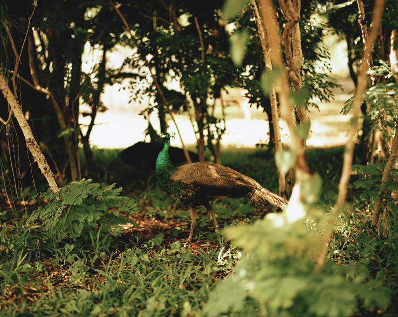 f:id:YORKE:20110419224256j:image