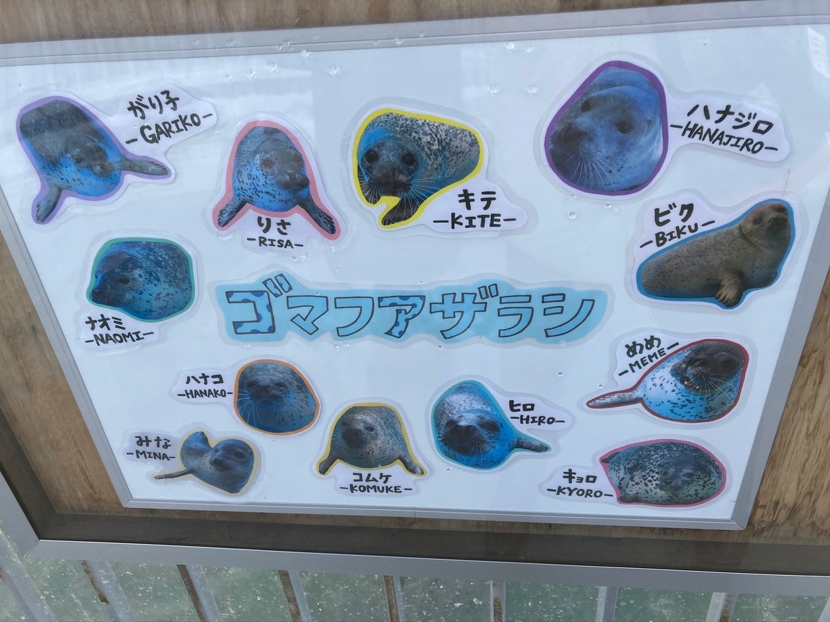 f:id:YOSHI88:20210116173325j:plain