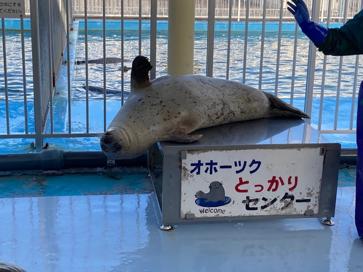 f:id:YOSHI88:20210116173830j:plain