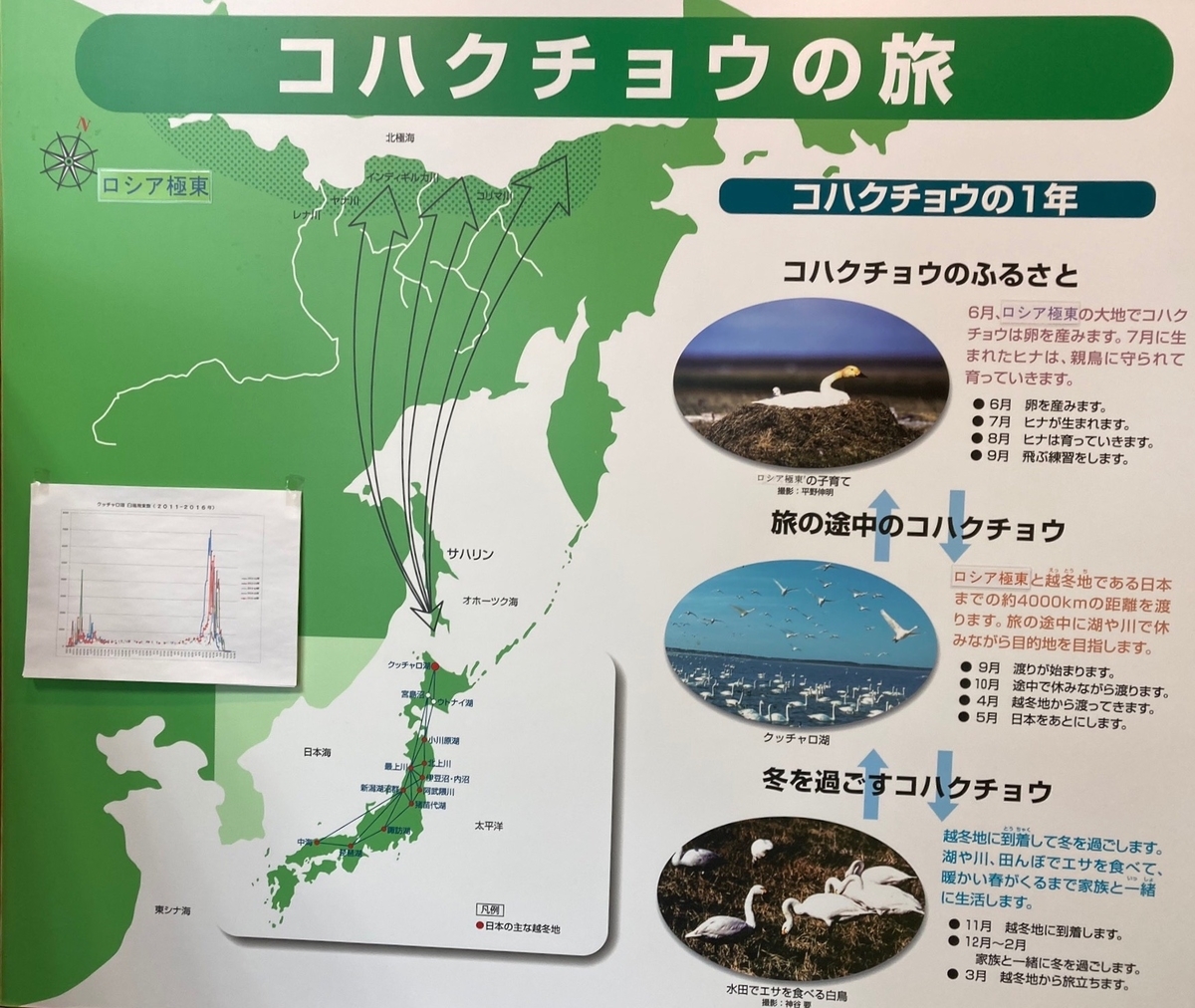 f:id:YOSHI88:20210128130854j:plain