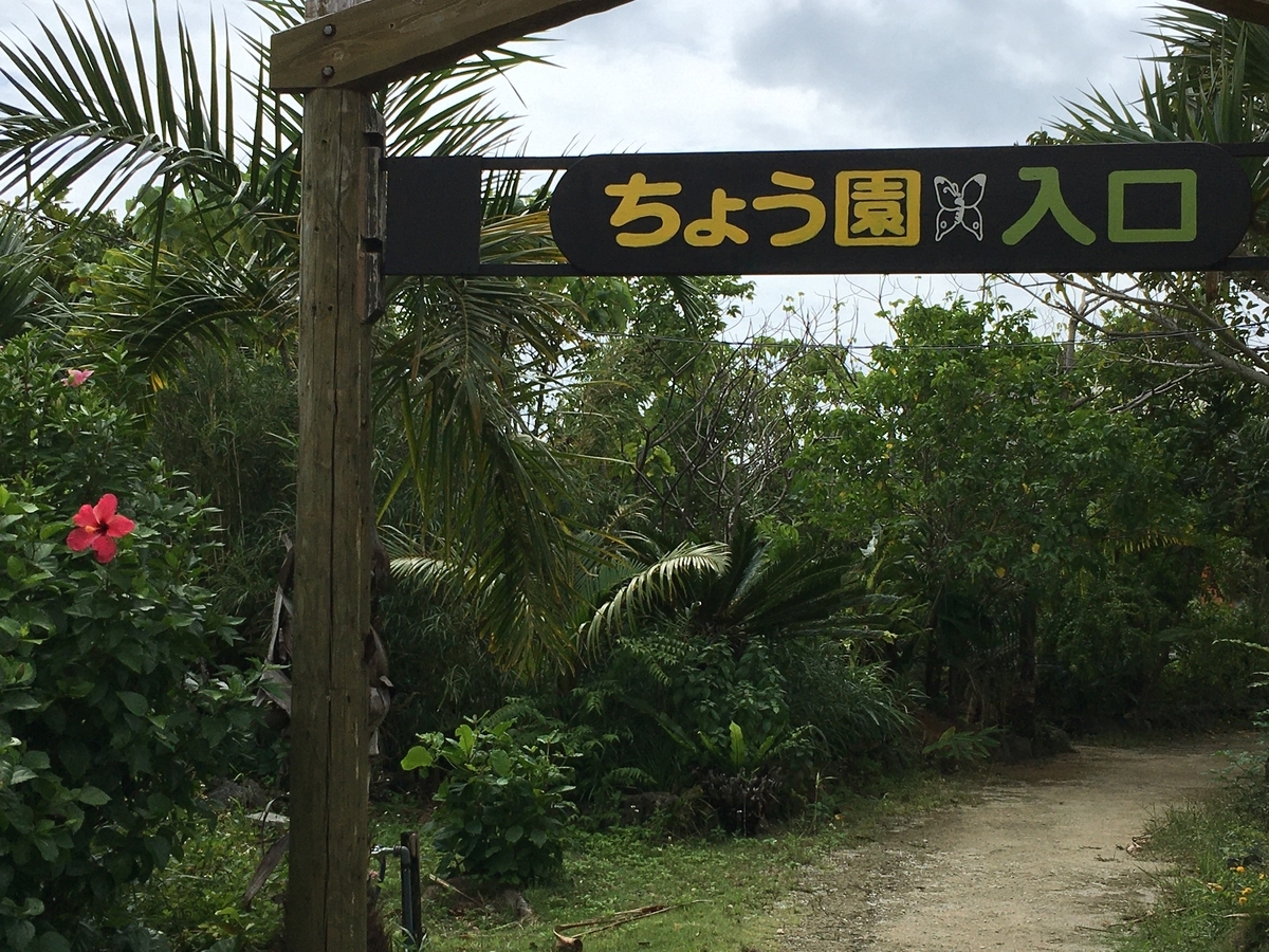 f:id:YOSHI88:20210701182006j:plain