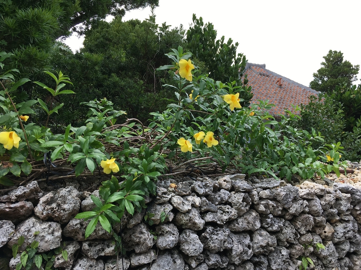f:id:YOSHI88:20210708143152j:plain