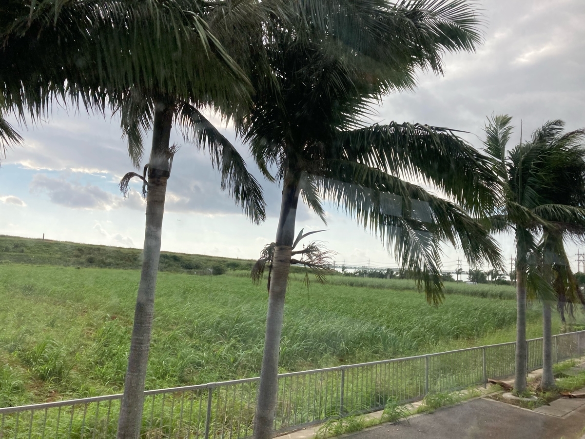 f:id:YOSHI88:20210728163146j:plain