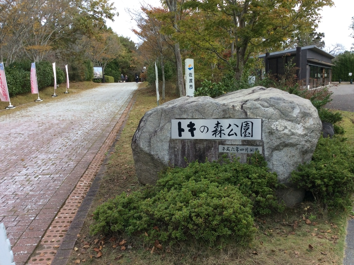 f:id:YOSHI88:20220303131826j:plain