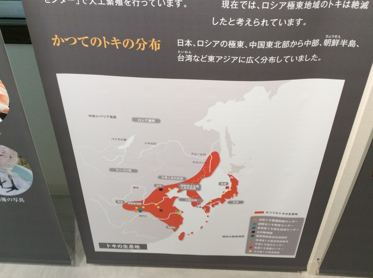 f:id:YOSHI88:20220303132651j:plain