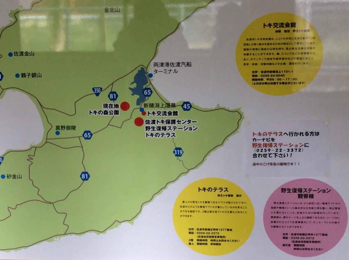 f:id:YOSHI88:20220306090311j:plain