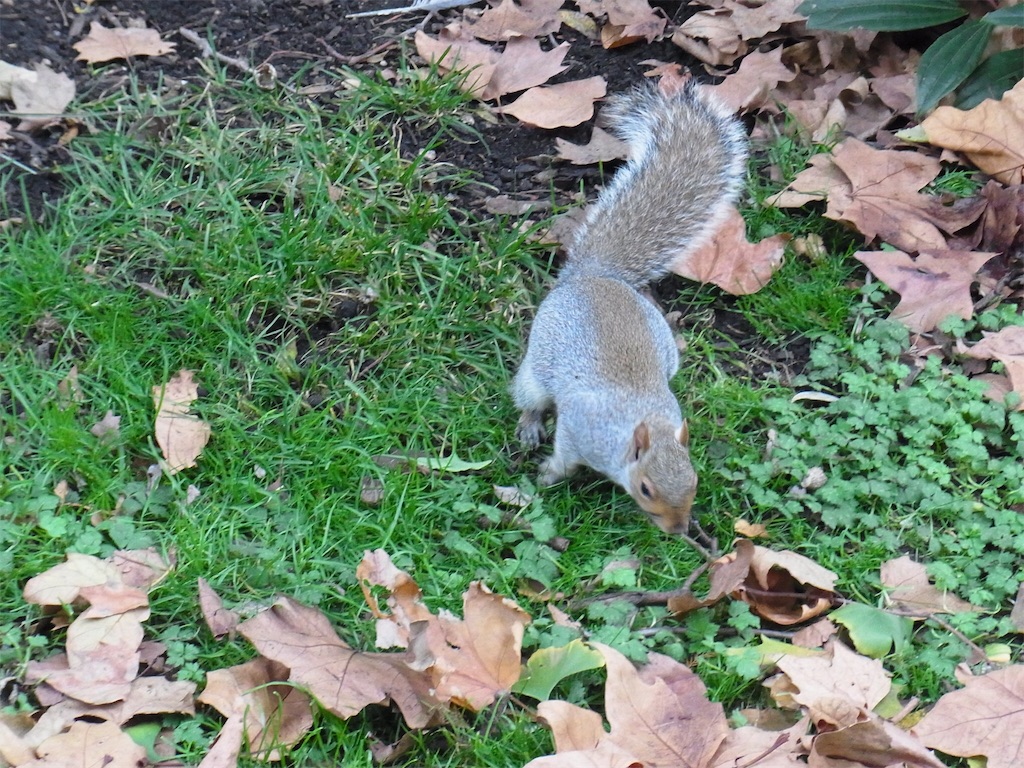 f:id:YOSHIKIrizame:20190615013410j:image