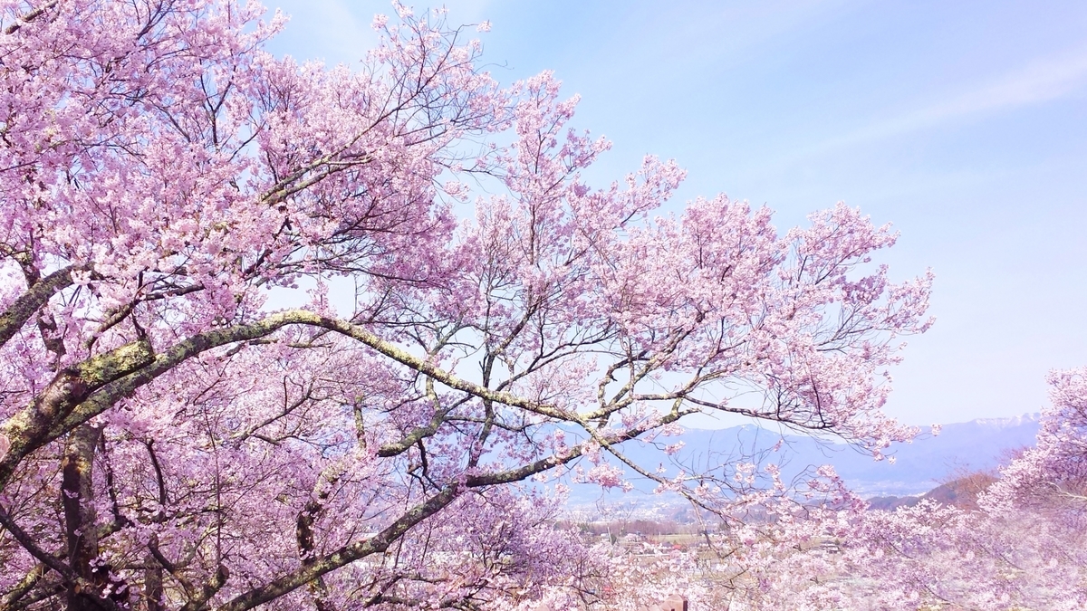 f:id:YOU50:20190503144911j:plain f:id:YOU50:20190503144911j:plain