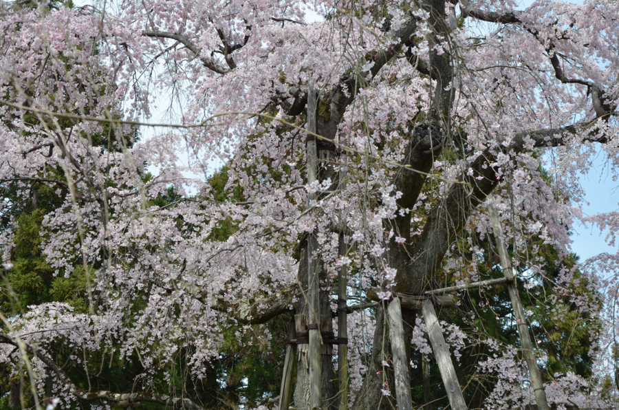 f:id:YOW:20160402190143j:image