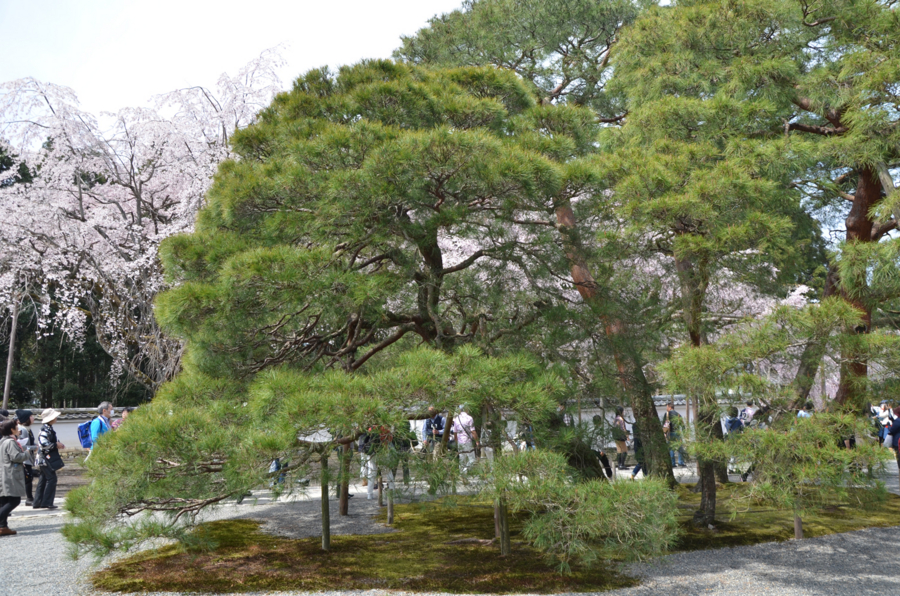 f:id:YOW:20160402191511j:image