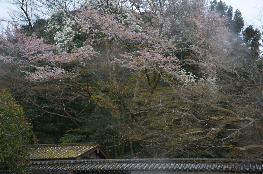 f:id:YOW:20160402191513j:image f:id:YOW:20160402191513j:image