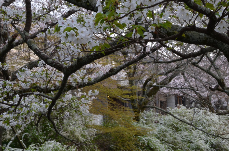 f:id:YOW:20160402191515j:image