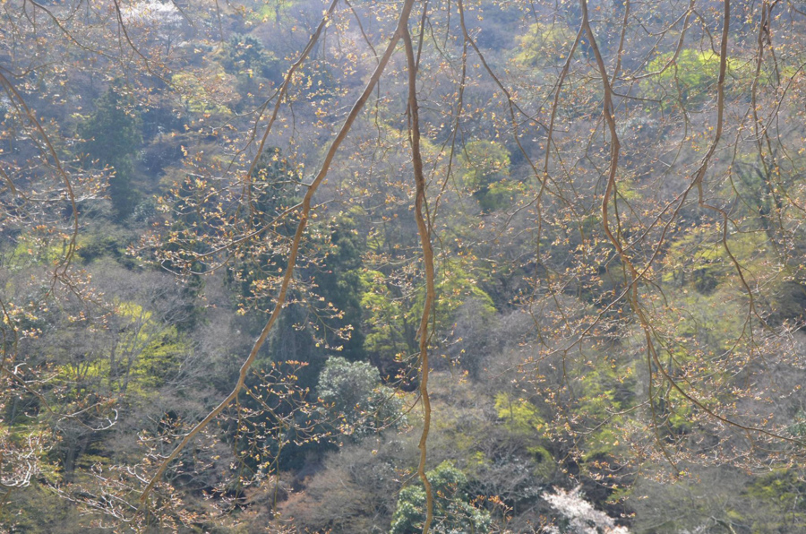 f:id:YOW:20160402191517j:image