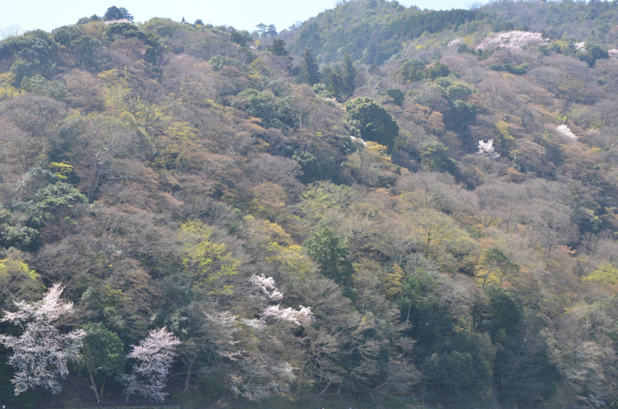 f:id:YOW:20160402191518j:image