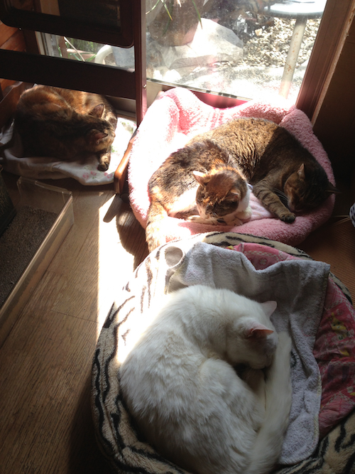 f:id:YOW:20180514203744j:plain