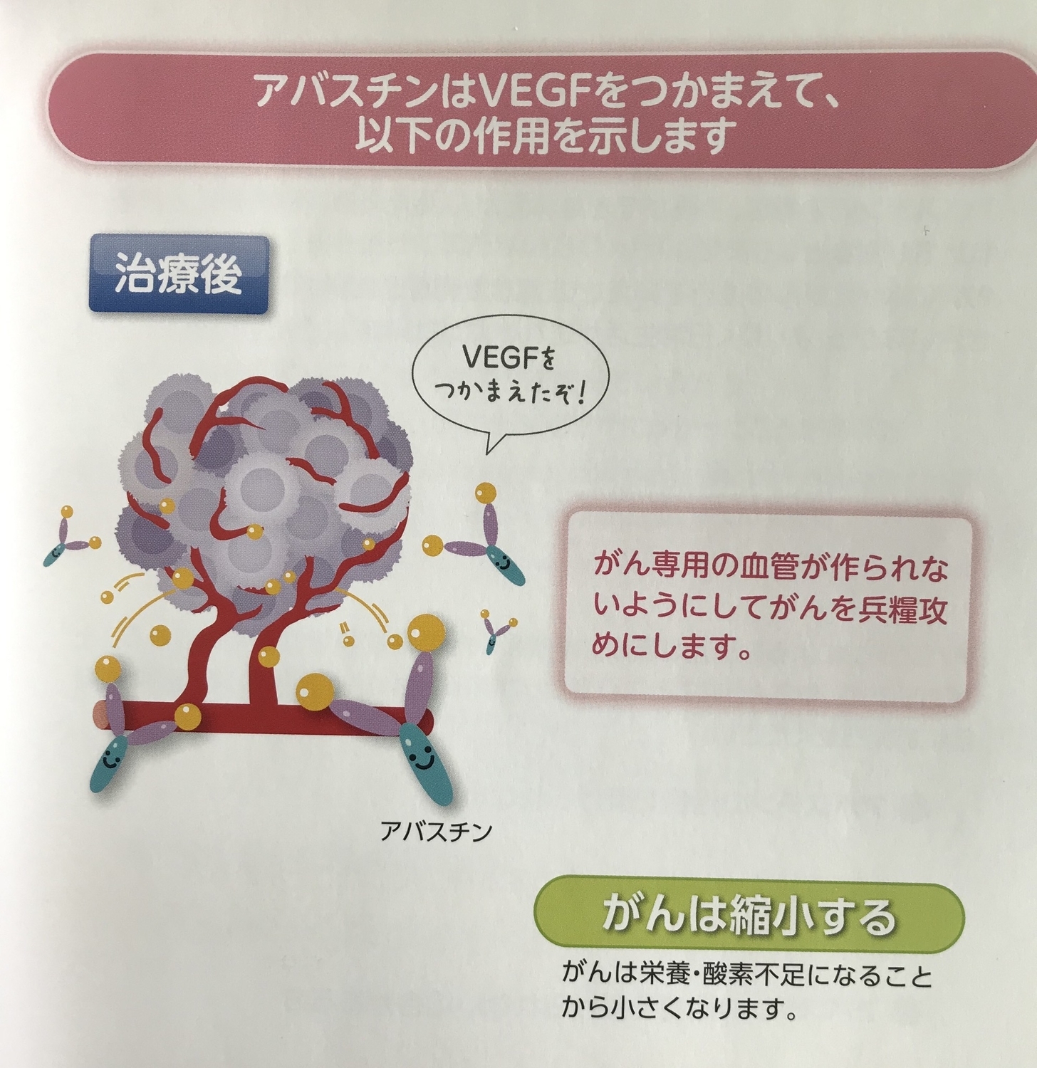 f:id:YOW:20190219115620j:image:w450