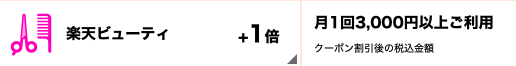 f:id:YS-99:20210126224941p:plain