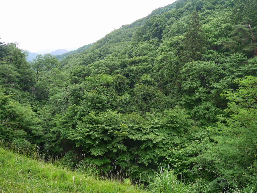 f:id:YSTiseki:20170702202954j:image f:id:YSTiseki:20170702202954j:image
