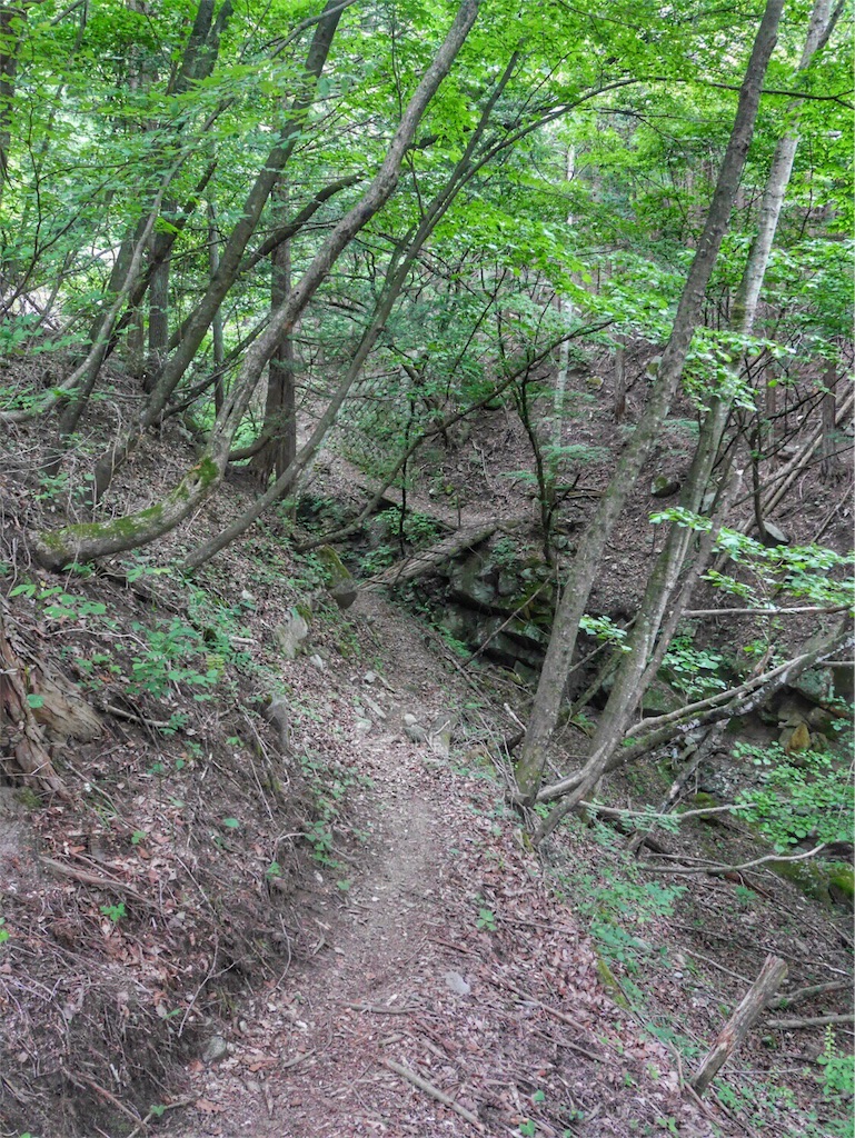 f:id:YSTiseki:20170702203052j:image f:id:YSTiseki:20170702203052j:image