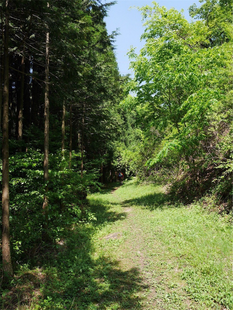 f:id:YSTiseki:20180509081201j:image f:id:YSTiseki:20180509081201j:image