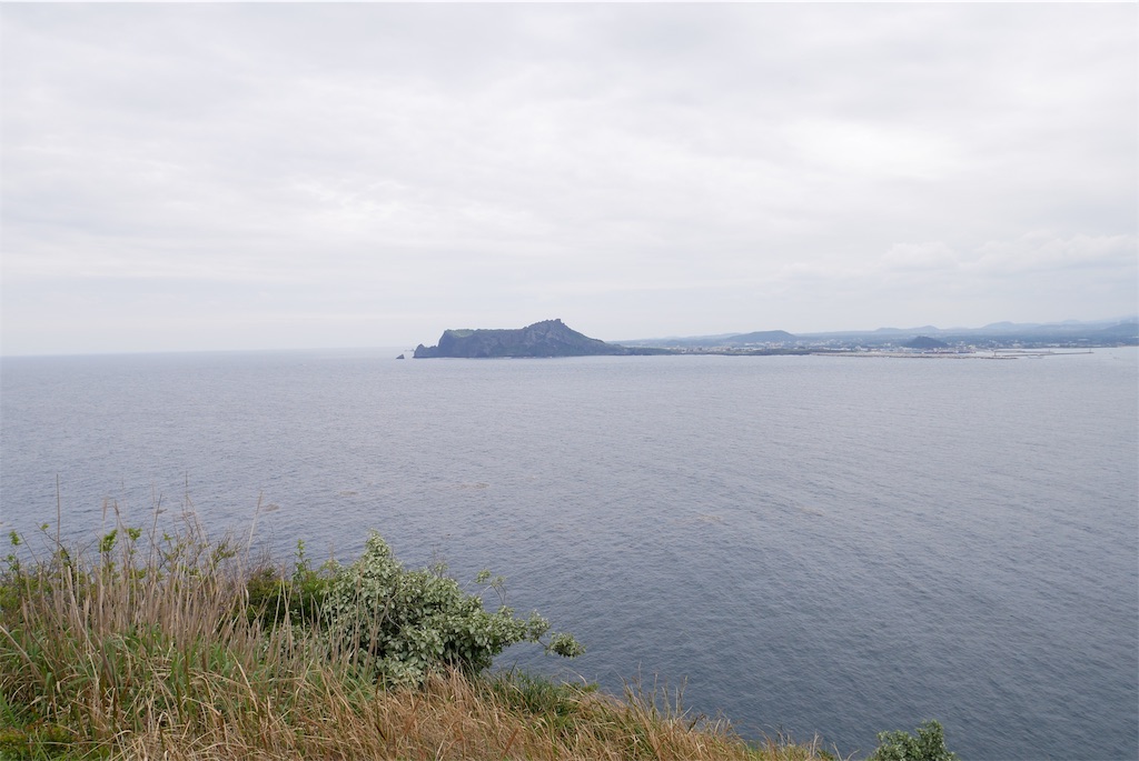 f:id:YSTiseki:20190429224019j:image f:id:YSTiseki:20190429224019j:image