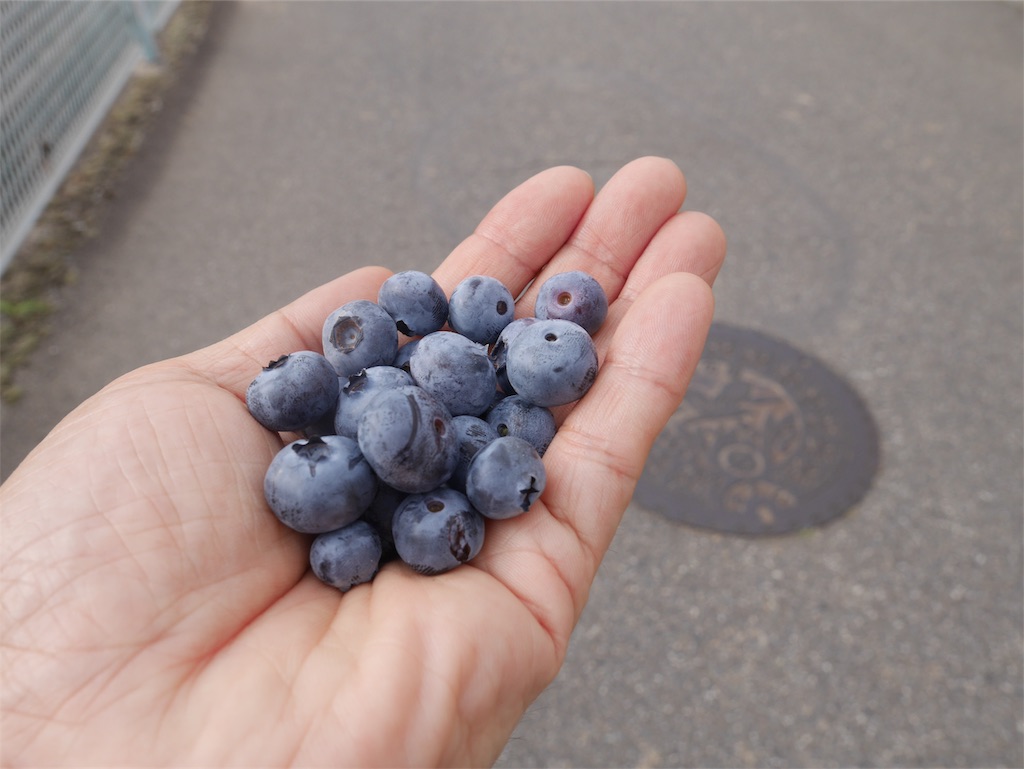 f:id:YSTiseki:20190703215258j:image f:id:YSTiseki:20190703215258j:image