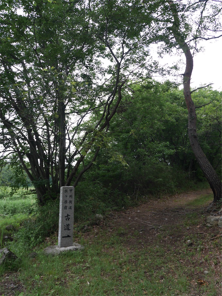 f:id:YSTiseki:20190708210720j:image f:id:YSTiseki:20190708210720j:image