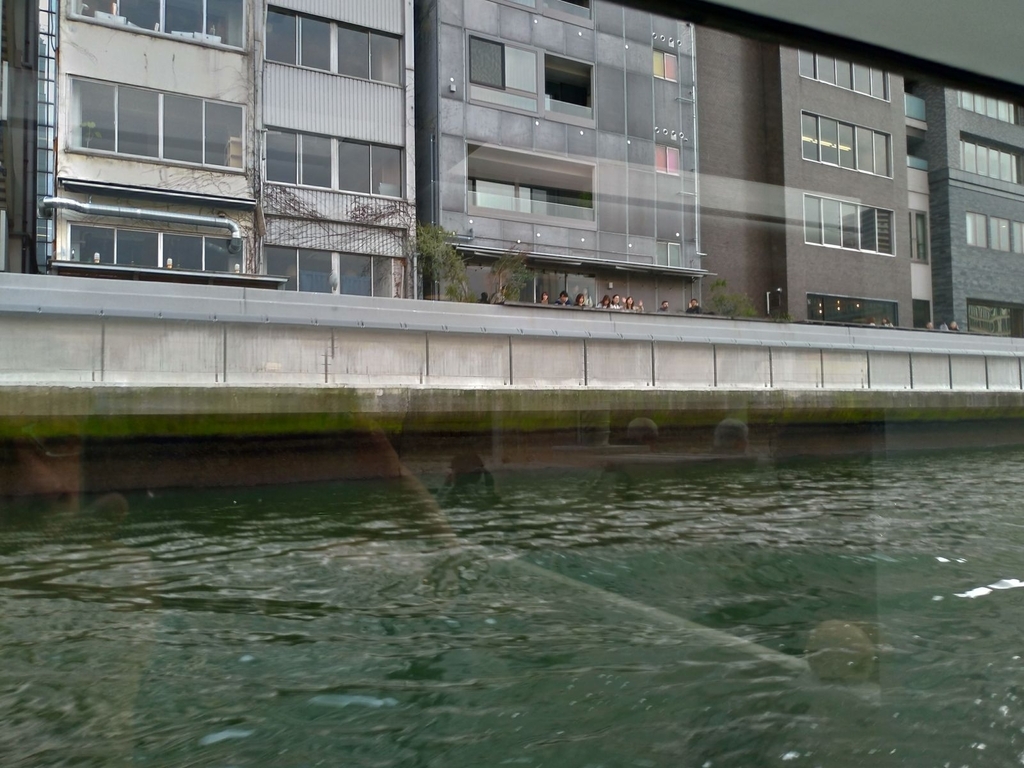 P_20190326_161557_vHDR_Auto_HP