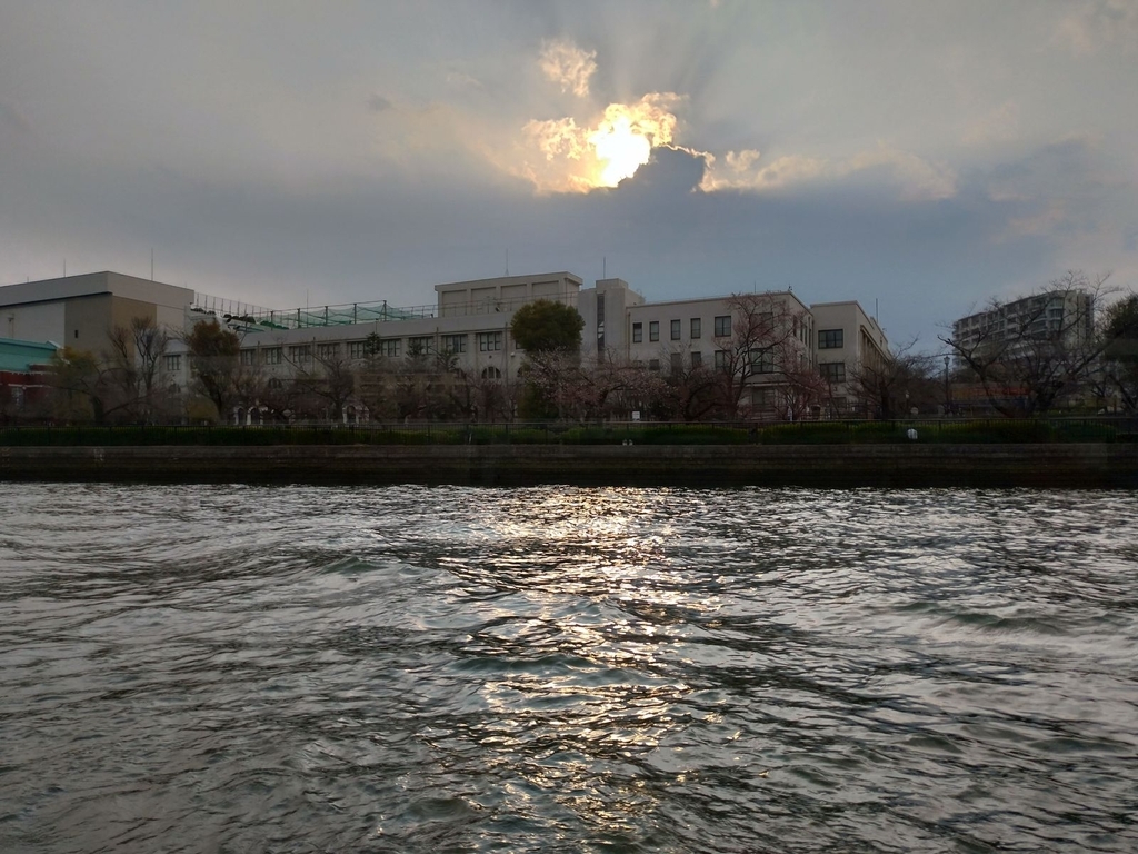 P_20190326_163732_vHDR_Auto_HP