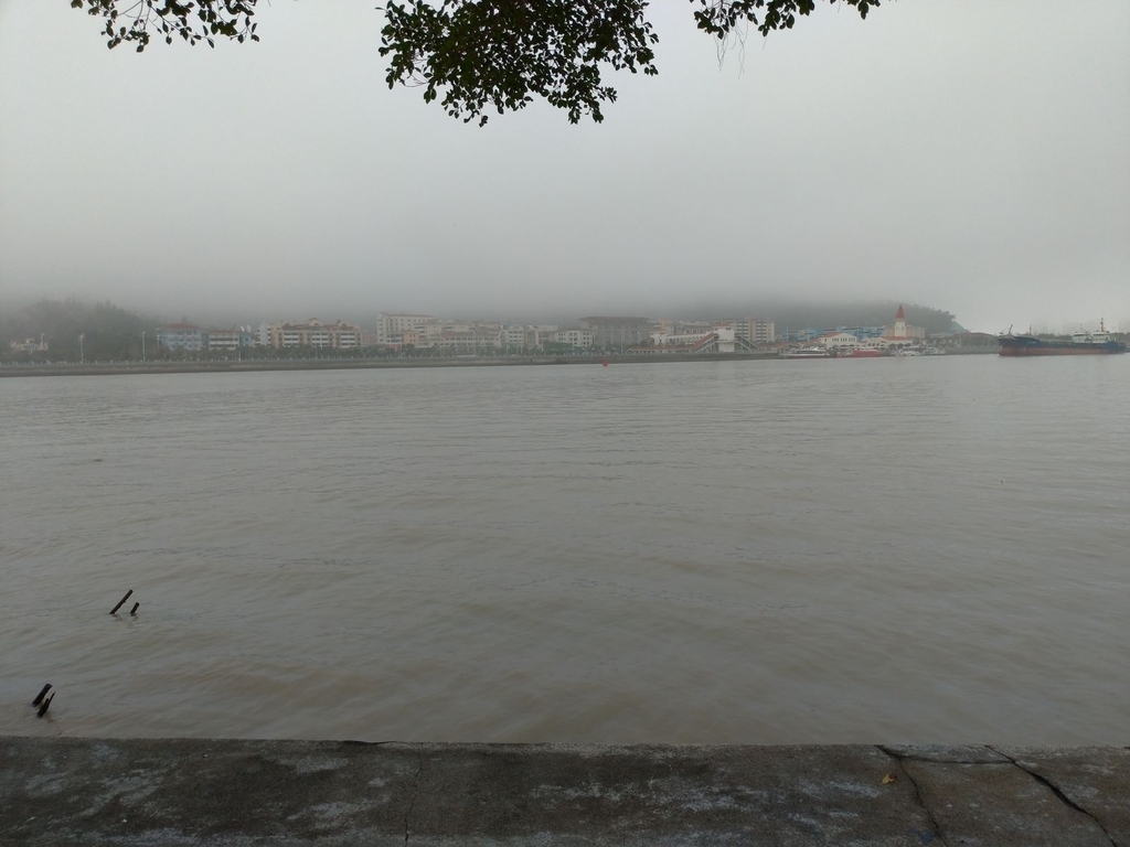 P_20190220_104930_vHDR_Auto