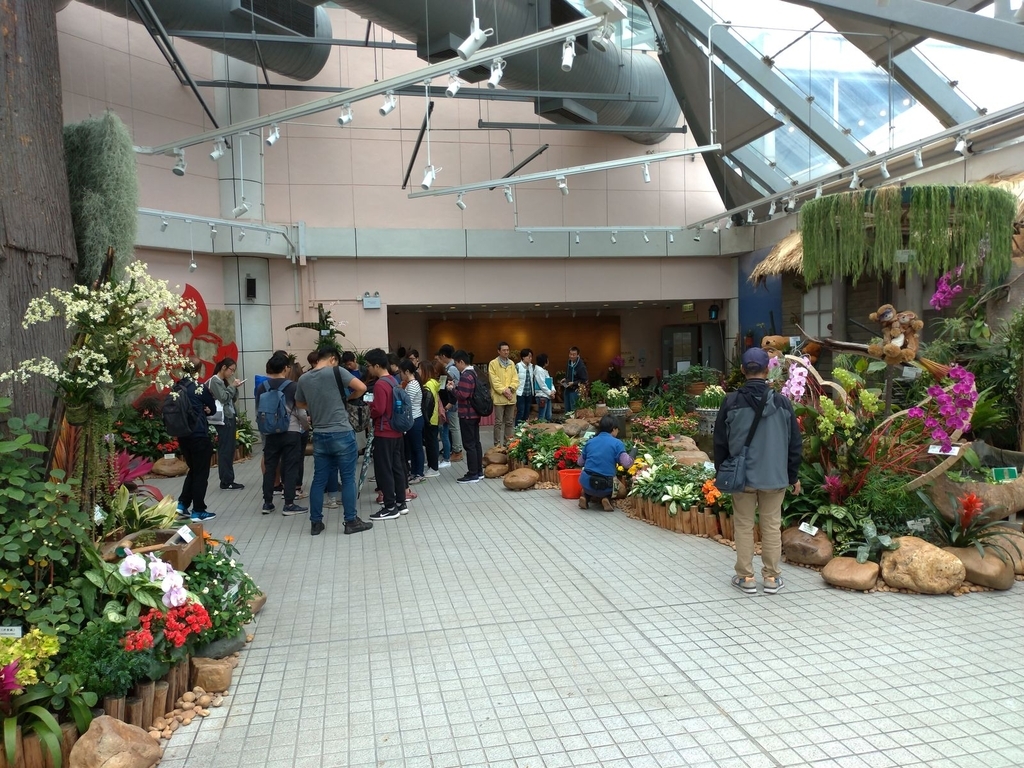 P_20190222_100225_vHDR_Auto