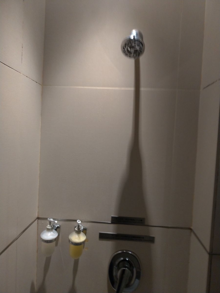 P_20190220_040822_vHDR_Auto