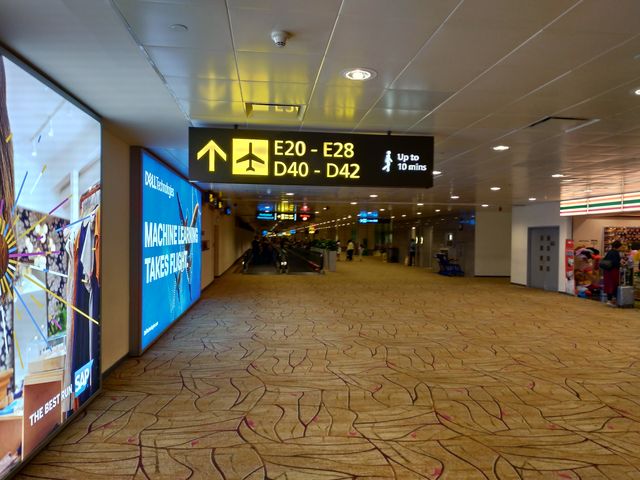 P_20190821_011515_vHDR_Auto_HP