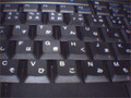 webcamしりとり