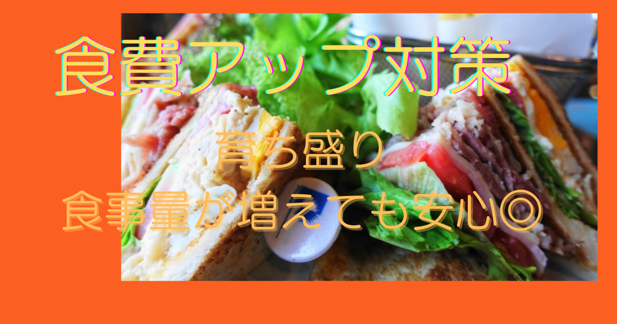 f:id:YU-RI-A:20220416162429p:plain
