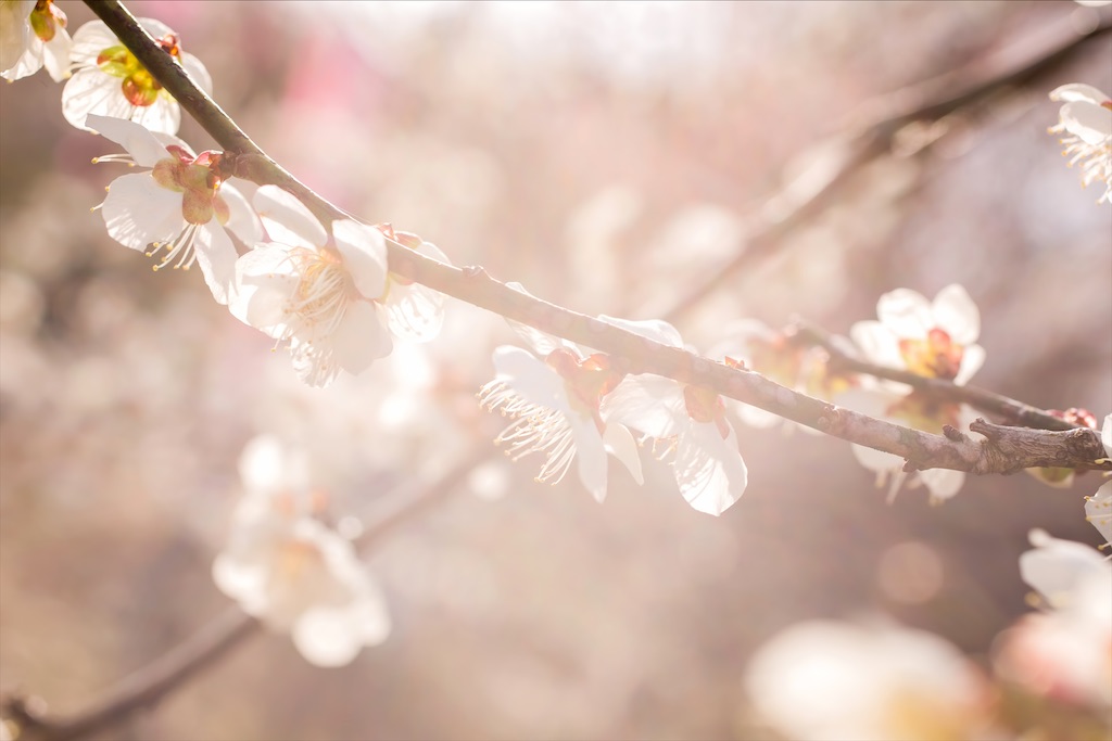 f:id:YUCHIYUCHI:20220121151017j:image f:id:YUCHIYUCHI:20220121151017j:image