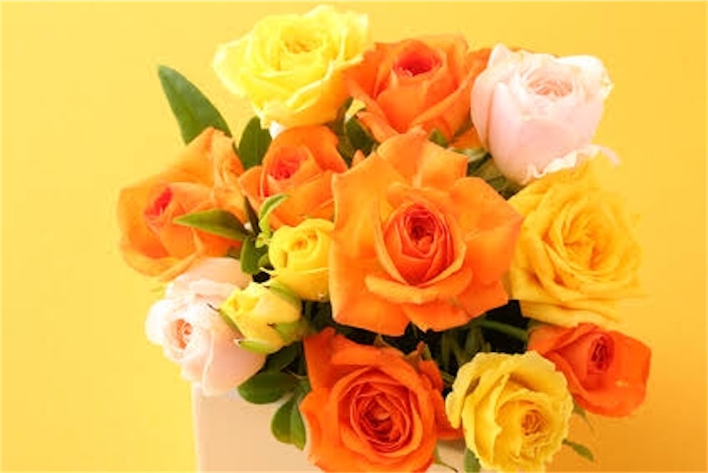 f:id:YUIIIDA:20210607034238j:image