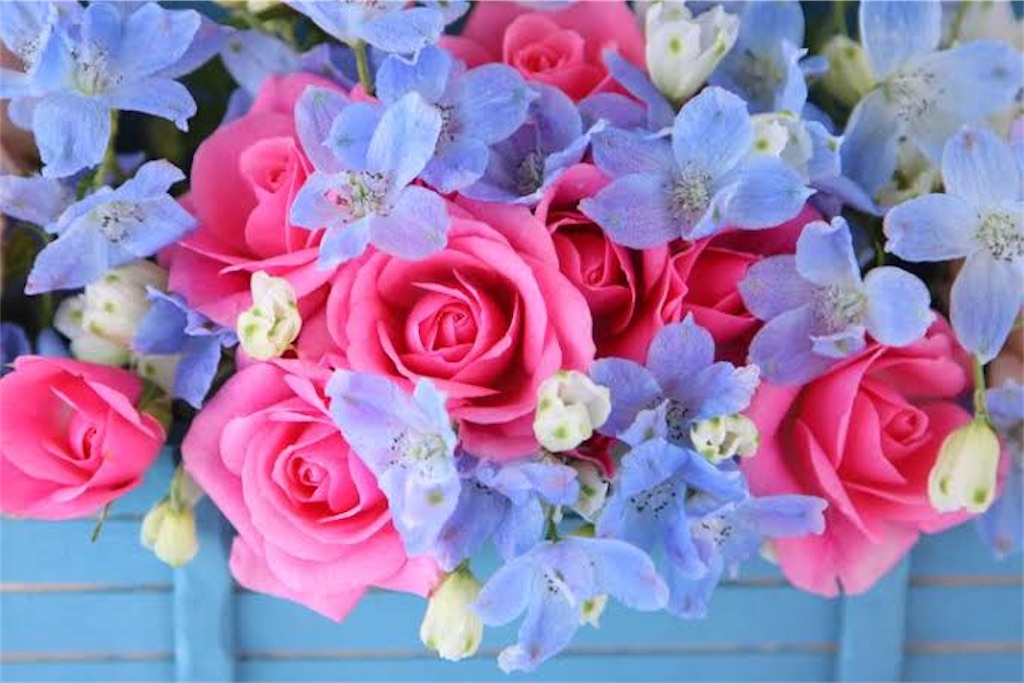 f:id:YUIIIDA:20210607034652j:image