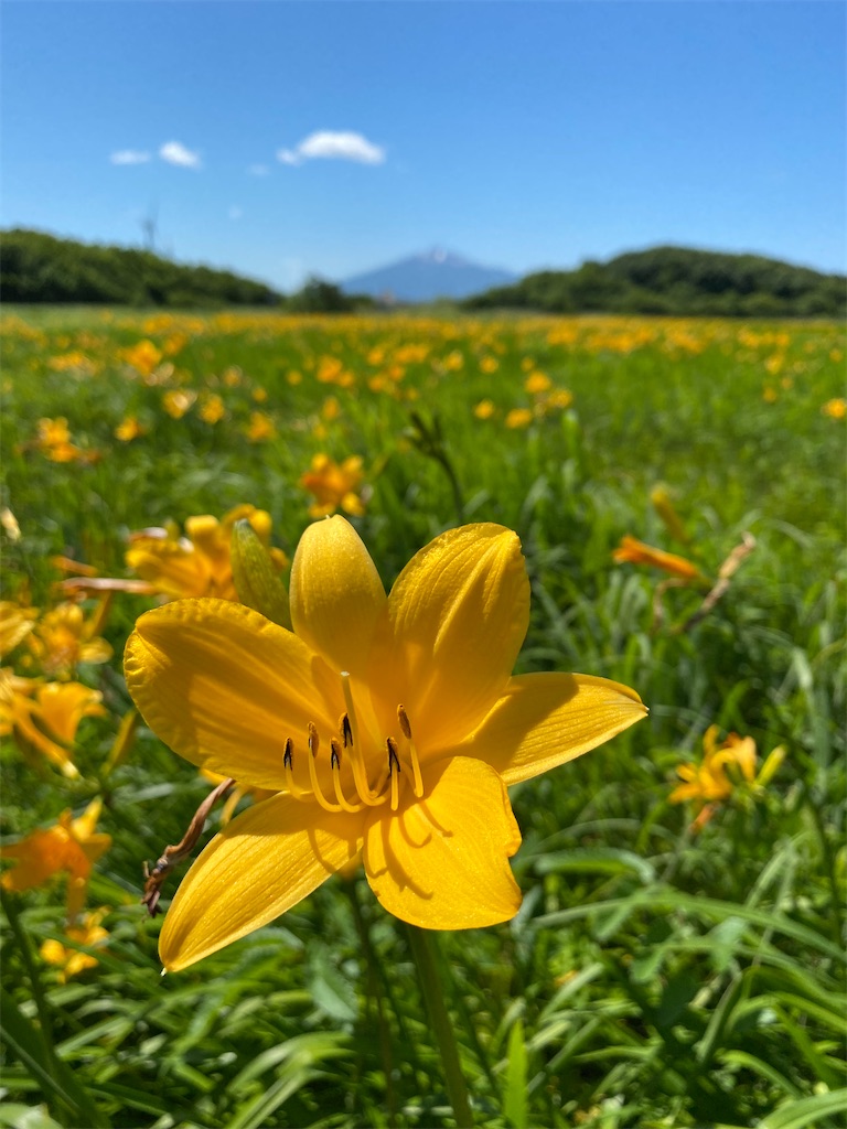 f:id:YUKI77246446:20230617034516j:image