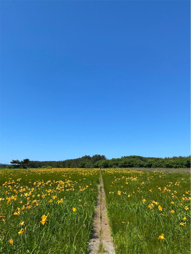 f:id:YUKI77246446:20230617034519j:image