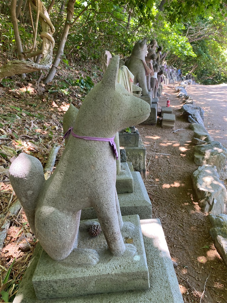 f:id:YUKI77246446:20230617042142j:image