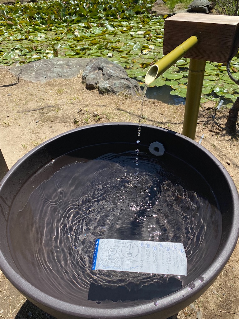 f:id:YUKI77246446:20230617042145j:image