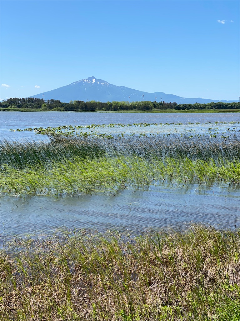 f:id:YUKI77246446:20230617042419j:image