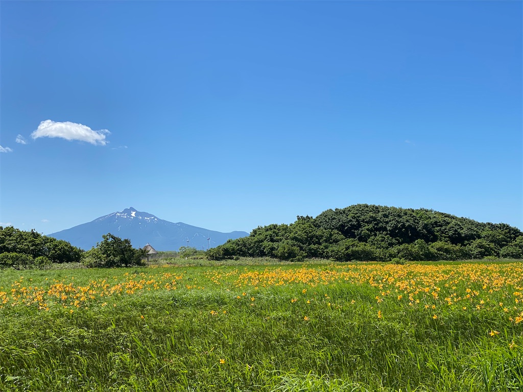 f:id:YUKI77246446:20230617042526j:image