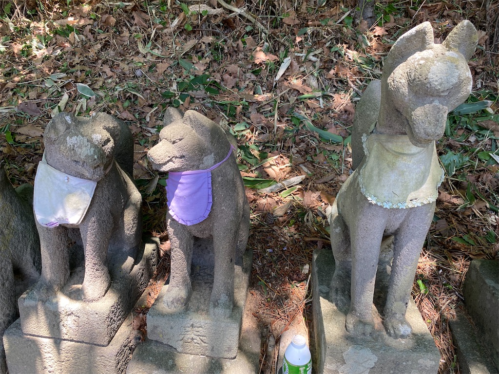 f:id:YUKI77246446:20230617042753j:image