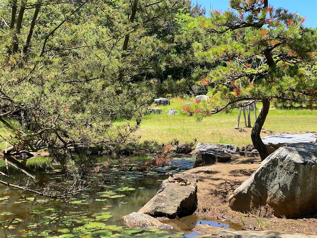 f:id:YUKI77246446:20230617043830j:image