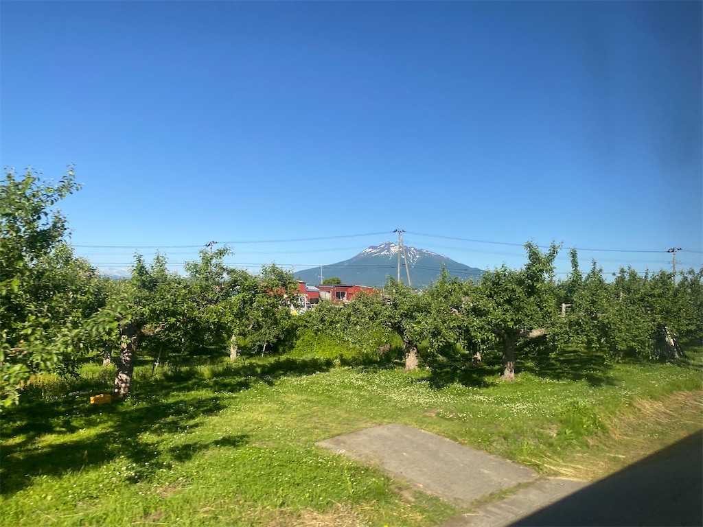 f:id:YUKI77246446:20230617044139j:image